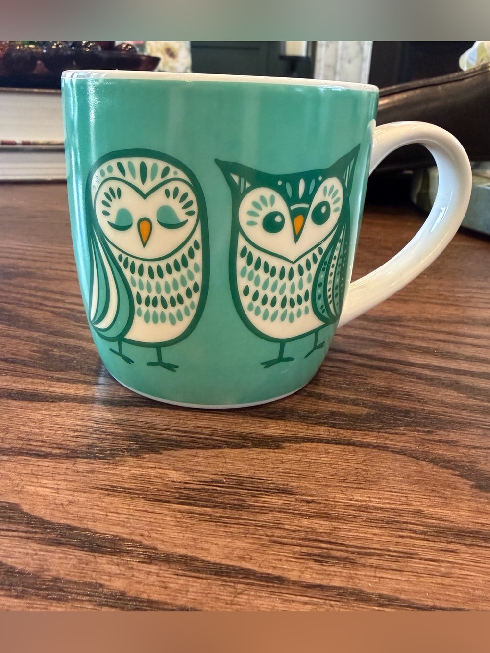 Turquoise Owl Ceramic Coffee Mug